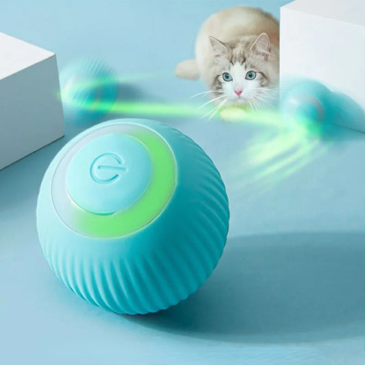 Pet Automatic Rolling ball